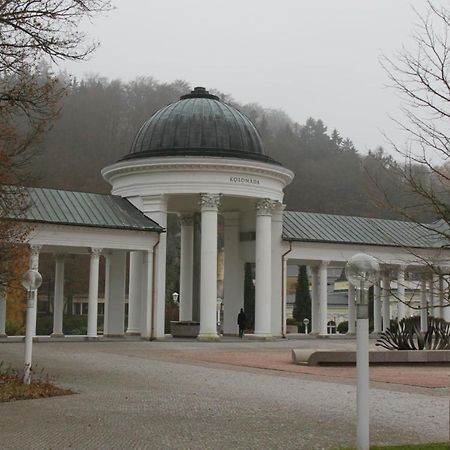 Apartman Karlovarská Mariánské Lázně Esterno foto