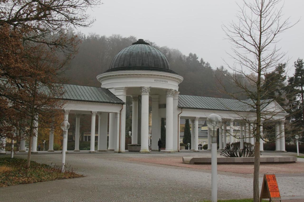 Apartman Karlovarská Mariánské Lázně Esterno foto