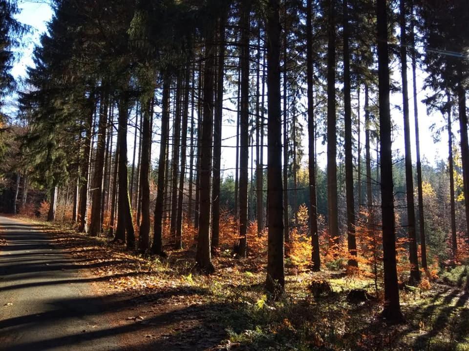 Apartman Karlovarská Mariánské Lázně Esterno foto